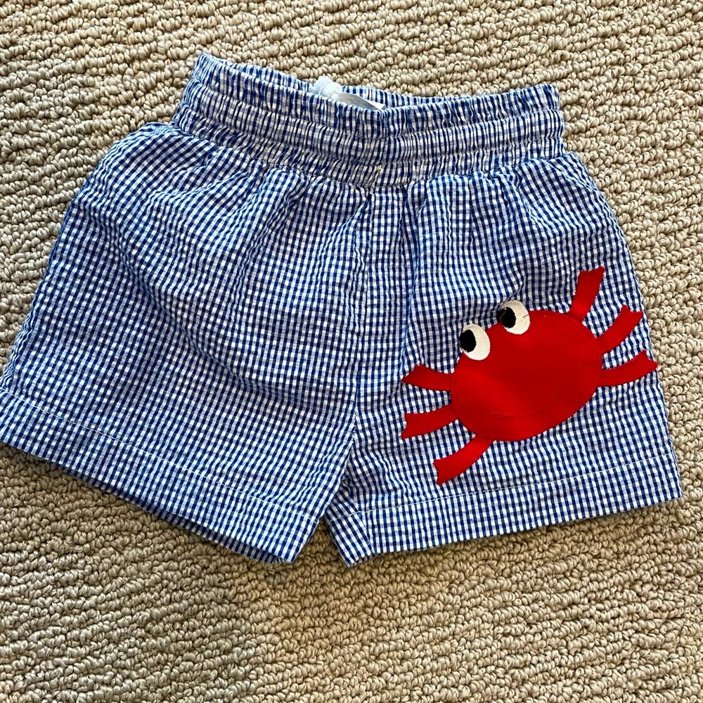 Funtasia toddler boy seersucker swim trunks